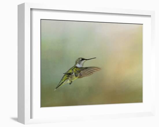 Peaceful Day with a Hummingbird-Jai Johnson-Framed Giclee Print