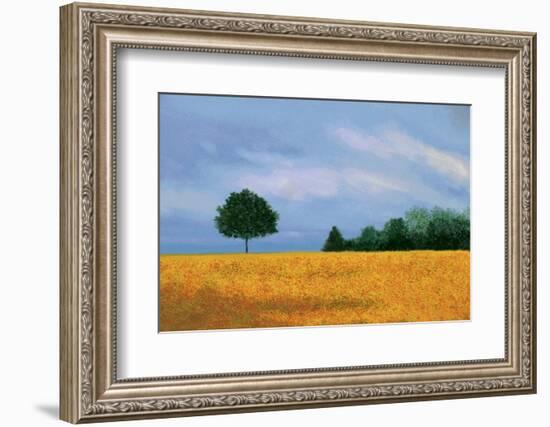 Peaceful Field-Herb Dickinson-Framed Photographic Print