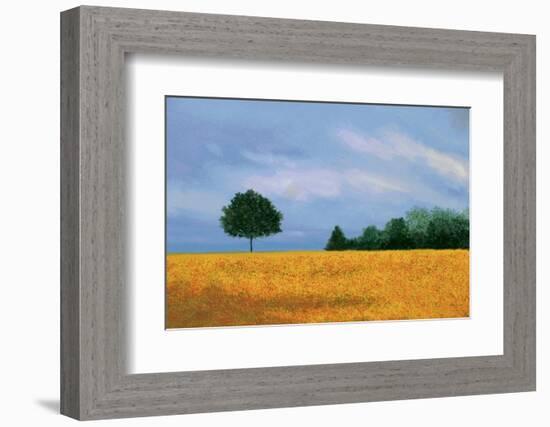 Peaceful Field-Herb Dickinson-Framed Photographic Print