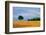 Peaceful Field-Herb Dickinson-Framed Photographic Print