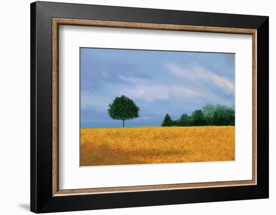 Peaceful Field-Herb Dickinson-Framed Photographic Print