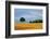 Peaceful Field-Herb Dickinson-Framed Photographic Print