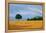 Peaceful Field-Herb Dickinson-Framed Premier Image Canvas