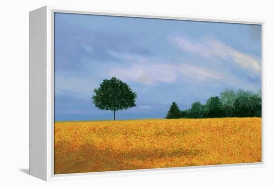 Peaceful Field-Herb Dickinson-Framed Premier Image Canvas