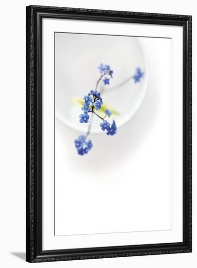 Peaceful Floral - Harmony-James Guilliam-Framed Giclee Print