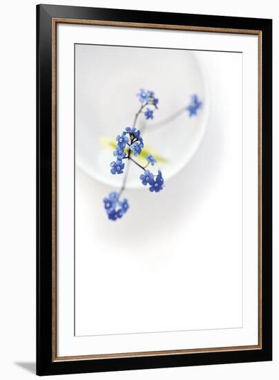 Peaceful Floral - Harmony-James Guilliam-Framed Giclee Print