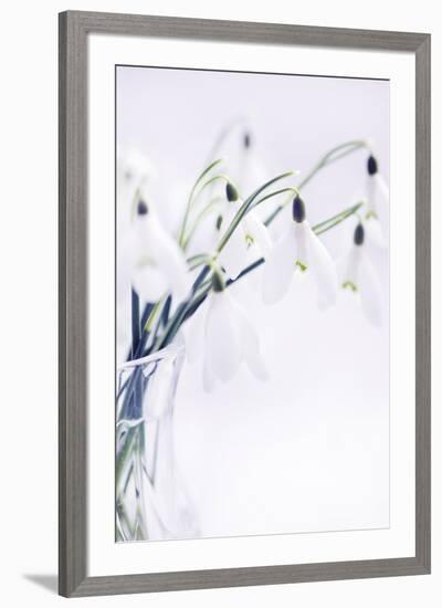 Peaceful Floral - Lullaby-James Guilliam-Framed Giclee Print