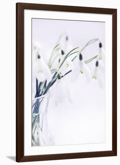 Peaceful Floral - Lullaby-James Guilliam-Framed Giclee Print