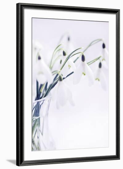 Peaceful Floral - Lullaby-James Guilliam-Framed Giclee Print