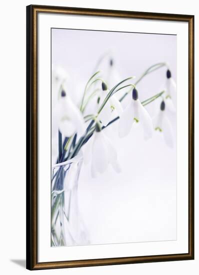 Peaceful Floral - Lullaby-James Guilliam-Framed Giclee Print