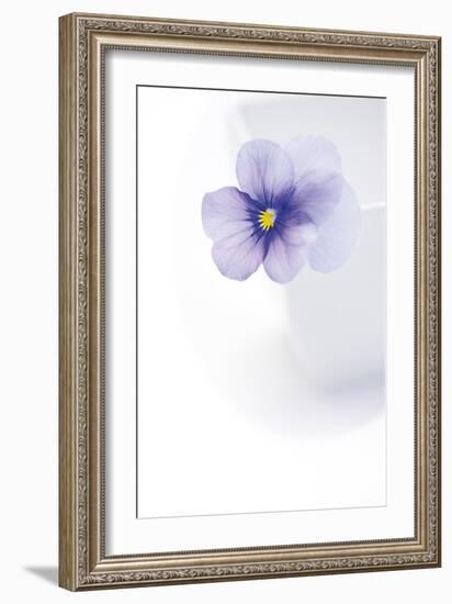 Peaceful Floral - Melody-James Guilliam-Framed Giclee Print