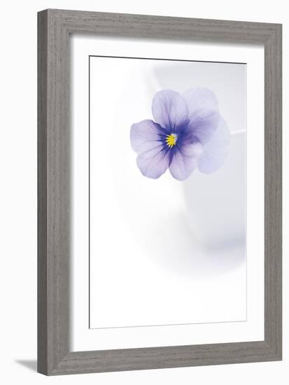 Peaceful Floral - Melody-James Guilliam-Framed Giclee Print