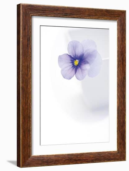Peaceful Floral - Melody-James Guilliam-Framed Giclee Print