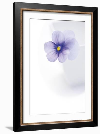 Peaceful Floral - Melody-James Guilliam-Framed Giclee Print