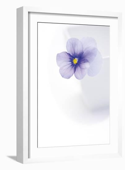 Peaceful Floral - Melody-James Guilliam-Framed Giclee Print