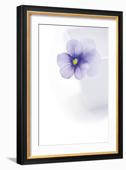 Peaceful Floral - Melody-James Guilliam-Framed Giclee Print