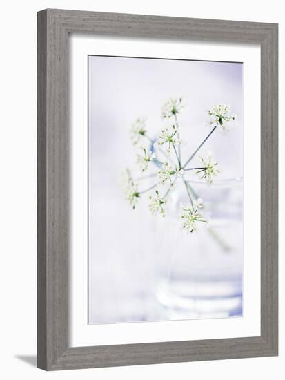 Peaceful Floral - Symphony-James Guilliam-Framed Giclee Print