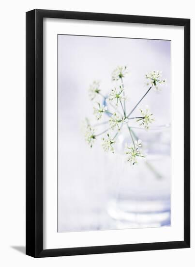 Peaceful Floral - Symphony-James Guilliam-Framed Giclee Print