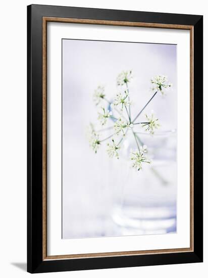 Peaceful Floral - Symphony-James Guilliam-Framed Giclee Print