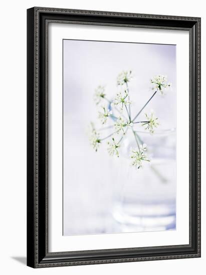 Peaceful Floral - Symphony-James Guilliam-Framed Giclee Print