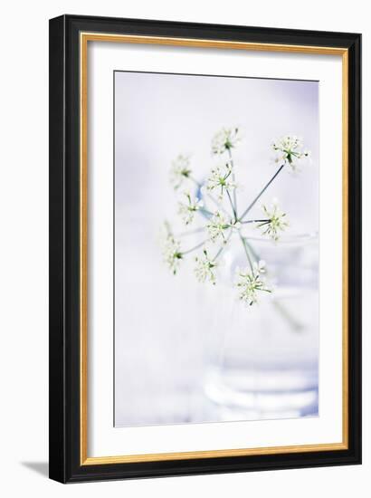 Peaceful Floral - Symphony-James Guilliam-Framed Giclee Print