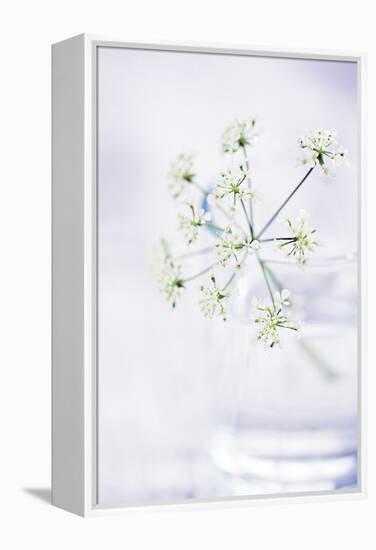 Peaceful Floral - Symphony-James Guilliam-Framed Stretched Canvas