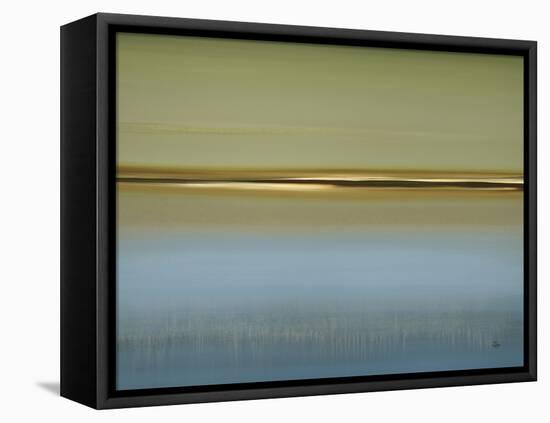 Peaceful Fusion-Lisa Ridgers-Framed Stretched Canvas