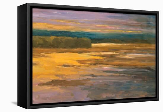 Peaceful II-Stevens Allayn-Framed Stretched Canvas