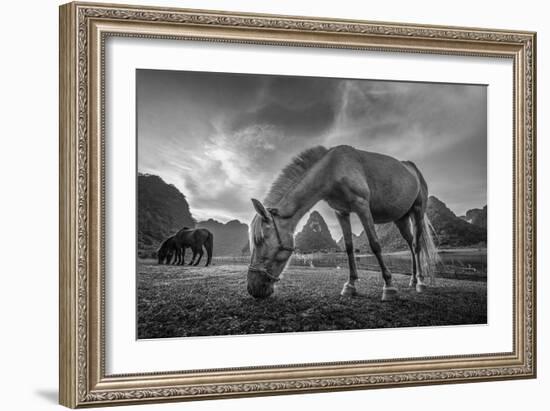 Peaceful Moment-Nhiem Hoang The-Framed Giclee Print