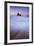Peaceful Morning Beach, Half Moon Bay, Martin's Beach, California Coast-Vincent James-Framed Photographic Print