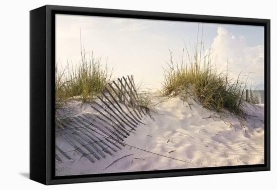 Peaceful Morning in the Beach Sand Dunes-forestpath-Framed Premier Image Canvas