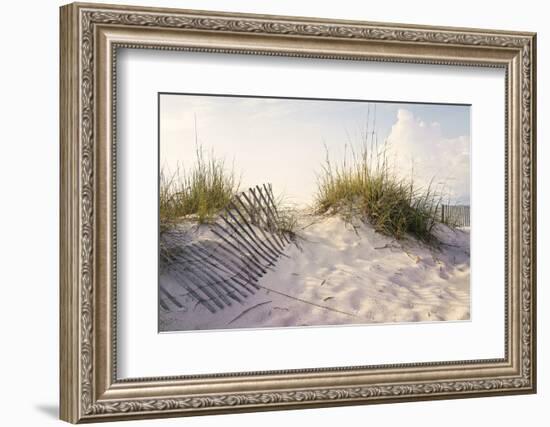 Peaceful Morning in the Beach Sand Dunes-forestpath-Framed Photographic Print