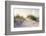 Peaceful Morning in the Beach Sand Dunes-forestpath-Framed Photographic Print