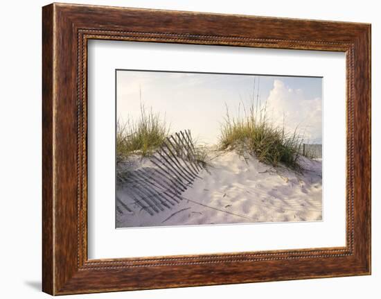 Peaceful Morning in the Beach Sand Dunes-forestpath-Framed Photographic Print