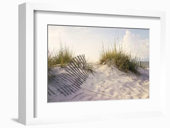 Peaceful Morning in the Beach Sand Dunes-forestpath-Framed Photographic Print