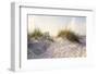 Peaceful Morning in the Beach Sand Dunes-forestpath-Framed Photographic Print