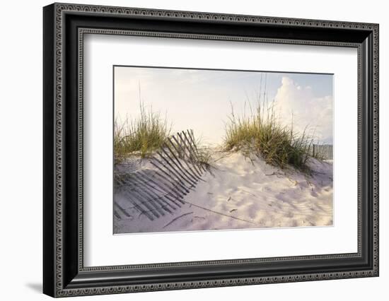 Peaceful Morning in the Beach Sand Dunes-forestpath-Framed Photographic Print