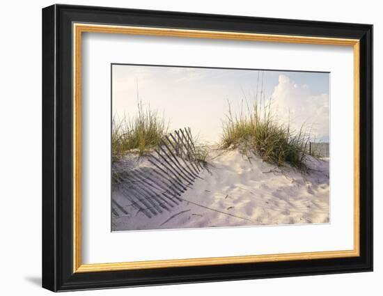 Peaceful Morning in the Beach Sand Dunes-forestpath-Framed Photographic Print