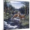 Peaceful Morning-Jeff Tift-Mounted Giclee Print