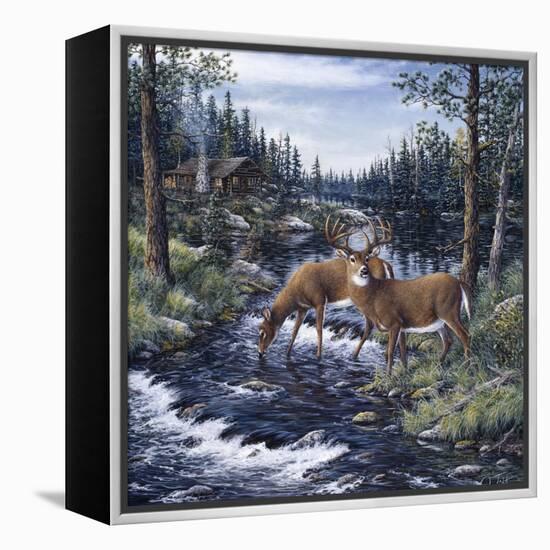 Peaceful Morning-Jeff Tift-Framed Premier Image Canvas