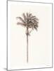 Peaceful Palm - Single-Hilary Armstrong-Mounted Limited Edition