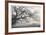 Peaceful Pasture-Donald Satterlee-Framed Giclee Print