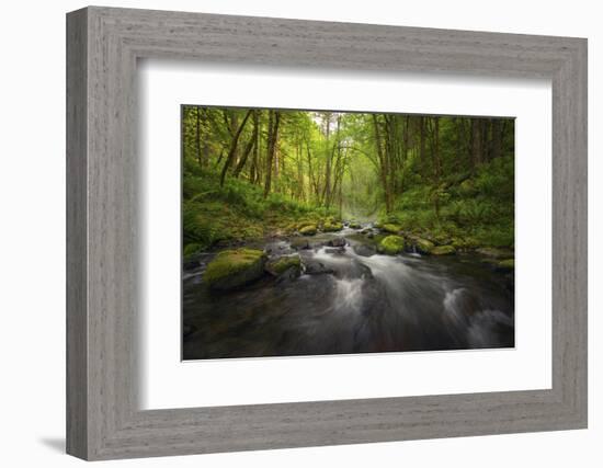 Peaceful river flowing through a forest-Sheila Haddad-Framed Photographic Print