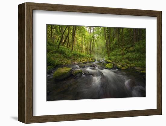 Peaceful river flowing through a forest-Sheila Haddad-Framed Photographic Print