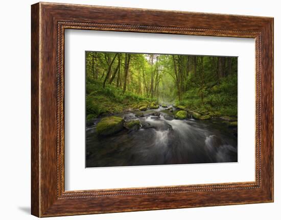 Peaceful river flowing through a forest-Sheila Haddad-Framed Photographic Print