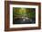 Peaceful river flowing through a forest-Sheila Haddad-Framed Photographic Print