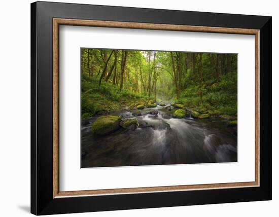 Peaceful river flowing through a forest-Sheila Haddad-Framed Photographic Print