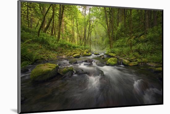 Peaceful river flowing through a forest-Sheila Haddad-Mounted Photographic Print