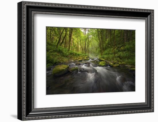 Peaceful river flowing through a forest-Sheila Haddad-Framed Photographic Print