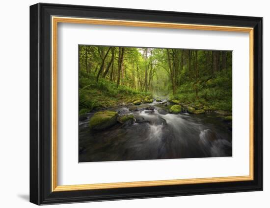 Peaceful river flowing through a forest-Sheila Haddad-Framed Photographic Print